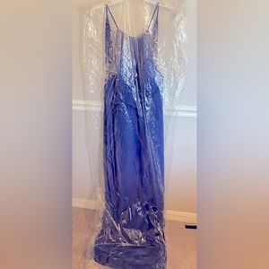 Long Blue Prom/Homecoming Dress